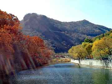 新澳门二四六天天开奖，宠物小精灵之旅